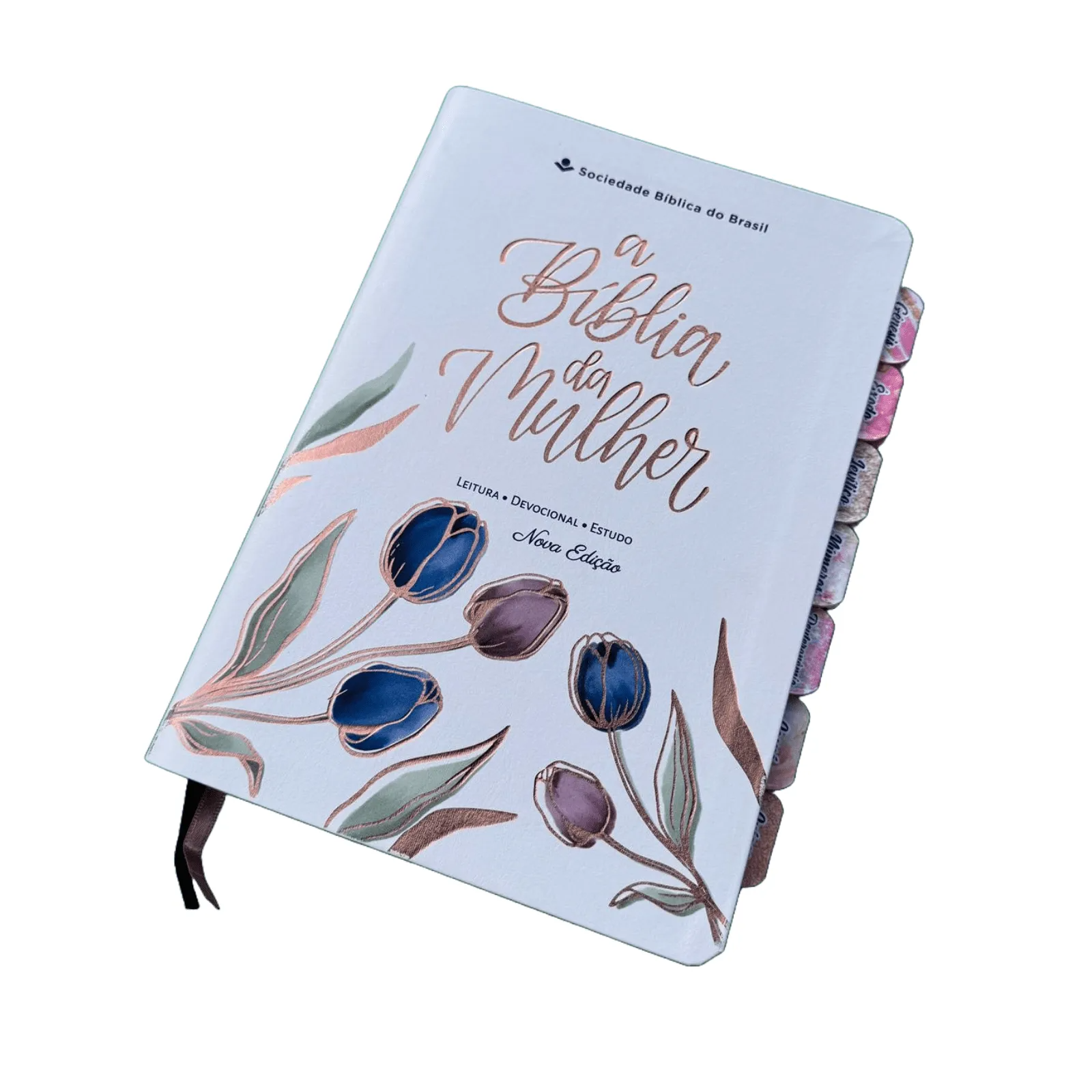 Bíblia de Estudos do Homem Sábio Leão Perfil com Abas adesivas