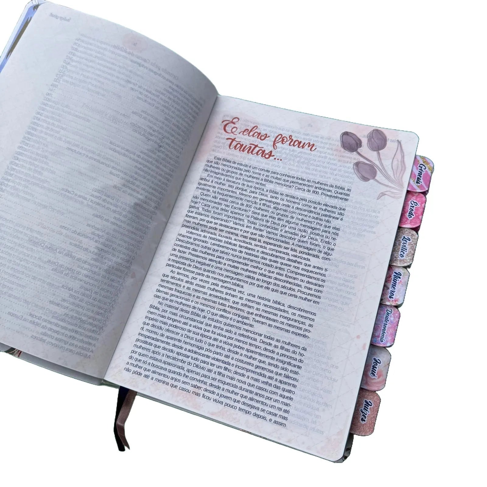 Bíblia de Estudos do Homem Sábio Leão Perfil com Abas adesivas