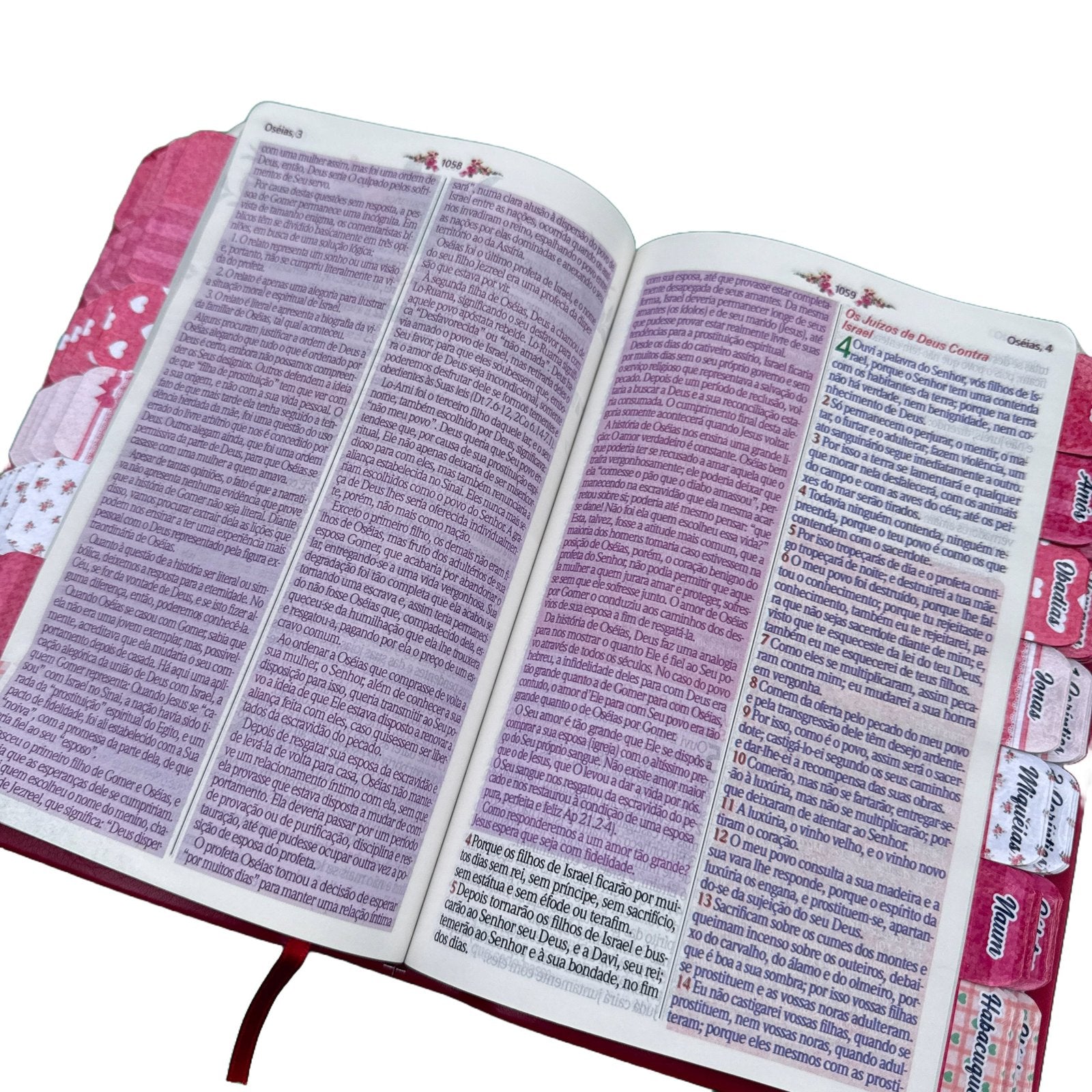 Bíblia de Estudo da Pregadora Vermelha Fiel Cpp Full Color Arc