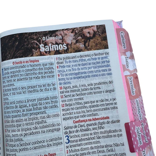 Kit Bíblia Mulher Virtuosa com Abas adesivas capa dura ARC + devocional + caneta + marca páginas