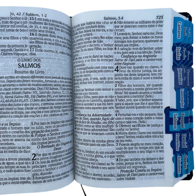 Kit Casal Cristão Leão azul + Leão forte e corajosa com elastico Abas adesivas e Harpa