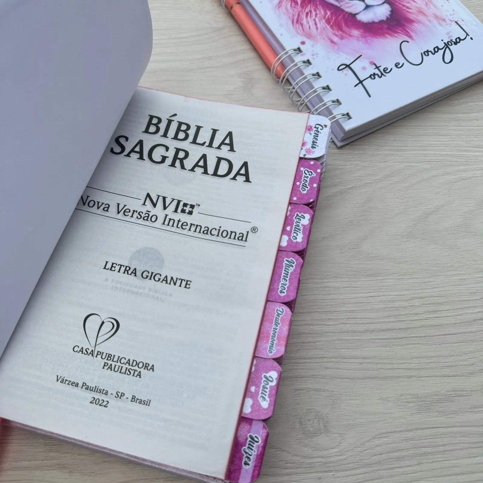 Kit Leão Seja Forte Nvi abas Adesivas Colocadas