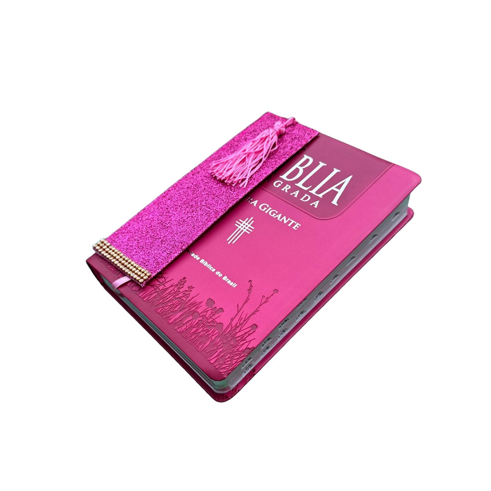 Bíblia Capa Luxo Ntlh Pink Letra Gigante Sbb